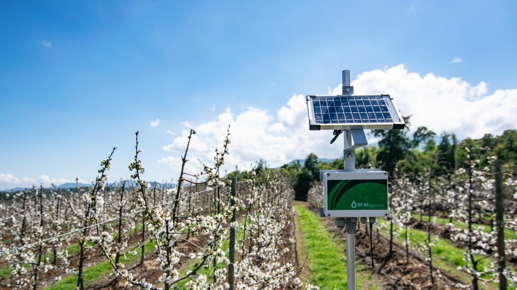 WiseConn foto in campo|Cristian Duschner 2|Cristian Duschner|WiseConn foto in campo 2